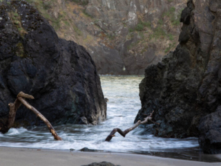 An ocean wave rolls in between two rocks over a tree branch