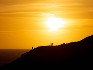 The sun sets over the ocean, with a couple of people walking their dogs on a hill in the foreground