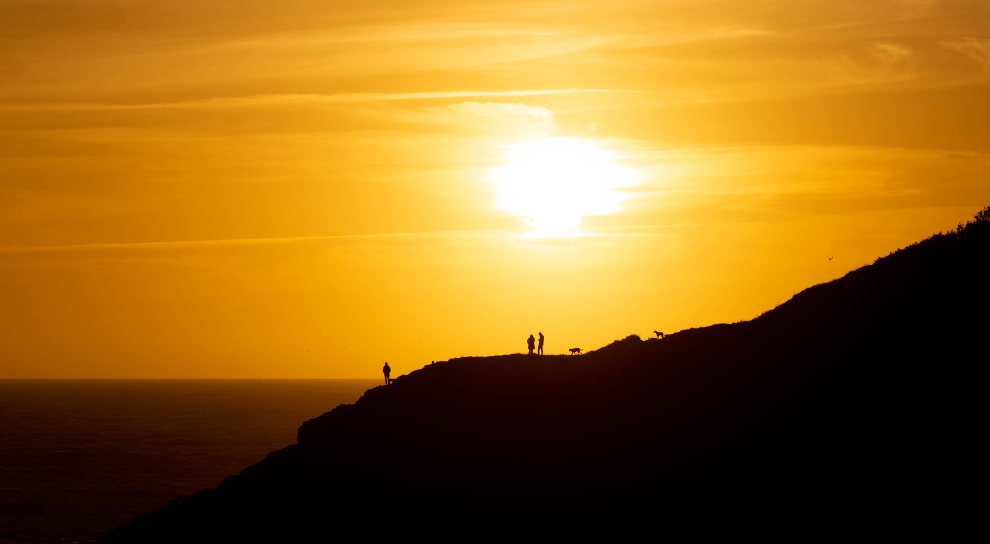 The sun sets over the ocean, with a couple of people walking their dogs on a hill in the foreground
