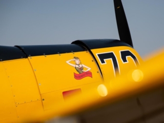 A low photo of an airplane, looking across the wing guns and up at the nose art.