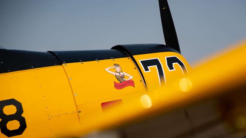 A low photo of an airplane, looking across the wing guns and up at the nose art.