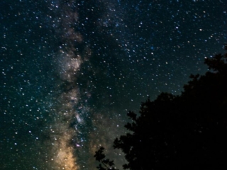 The milky way lines up next to a tree