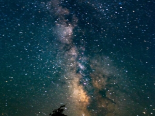 The milky way lines up next to a tree