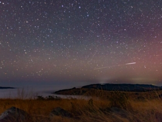 stars, shooting stars, and the northern lights sit over some grass and fog